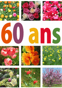 Fleurs &eacute;clatantes pour un 60e anniversaire